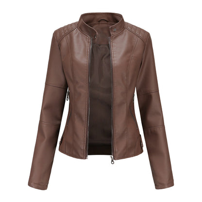 Dark brown stand collar biker jacket with front zip, front view